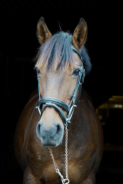 Oscar
